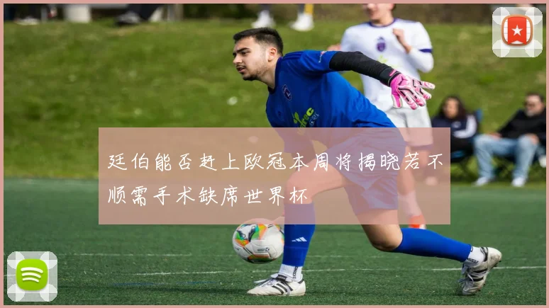 廷伯能否赶上欧冠本周将揭晓若不顺需手术缺席世界杯
